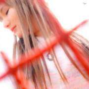 ヒメ日記 2026/04/08 09:25 投稿 まどか 丸妻 新横浜店