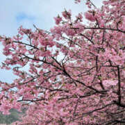 ヒメ日記 2026/04/03 12:40 投稿 小川さな セカンドパートナー本店