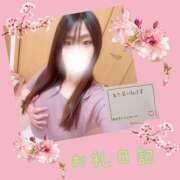 ヒメ日記 2026/04/23 12:09 投稿 あいら 迷宮の人妻 古河・久喜発