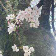 ヒメ日記 2026/03/31 13:12 投稿 さわ 出会い系人妻ネットワーク さいたま～大宮編