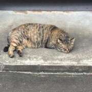 ヒメ日記 2026/05/01 09:28 投稿 さわ 出会い系人妻ネットワーク 春日部〜岩槻編