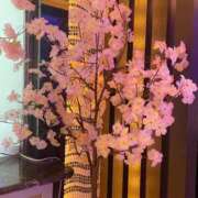 ヒメ日記 2026/05/26 23:34 投稿 さわ 出会い系人妻ネットワーク 春日部〜岩槻編
