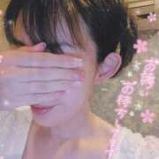 ヒメ日記 2026/03/31 22:08 投稿 真希（まき） 今日、私はあなたの部下（マーベリックグループ）