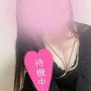 ヒメ日記 2026/04/02 20:28 投稿 めりさ 群馬渋川水沢ちゃんこ