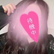 ヒメ日記 2026/04/03 16:10 投稿 めりさ 群馬渋川水沢ちゃんこ