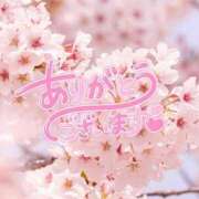 ヒメ日記 2026/04/03 17:18 投稿 めりさ 群馬渋川水沢ちゃんこ