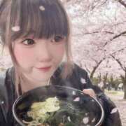 ヒメ日記 2026/04/10 05:42 投稿 いすず 水戸人妻花壇