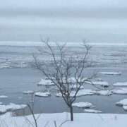 ヒメ日記 2026/04/11 15:14 投稿 いすず 水戸人妻花壇