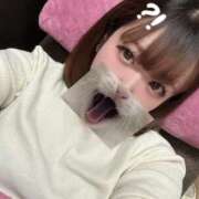 ヒメ日記 2026/04/07 16:01 投稿 うさ ミセスファースト 熊谷店 -お姉さん・若妻専門店-