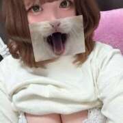 ヒメ日記 2026/04/08 13:39 投稿 うさ ミセスファースト 熊谷店 -お姉さん・若妻専門店-