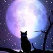 はぶちゃん お礼💌 ピンクコレクション大阪キタ店