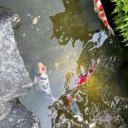 ヒメ日記 2026/05/12 22:08 投稿 しの カワサキEROTIC（ソープランド）