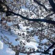 ヒメ日記 2026/04/08 18:43 投稿 しゅり CLUB DEEP 博多