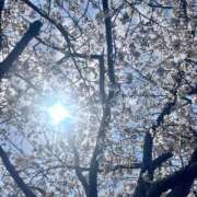 ヒメ日記 2026/04/23 15:18 投稿 しゅり CLUB DEEP 博多