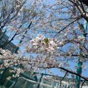 ヒメ日記 2026/03/31 15:18 投稿 りあ★SSS級美少女！女優の卵 Chloe五反田本店　S級素人清楚系デリヘル