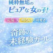 ヒメ日記 2026/07/22 22:20 投稿 ひらり プロフィール加古川