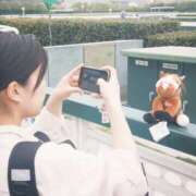 ヒメ日記 2026/04/20 12:00 投稿 うらら スピードエコ天王寺店