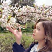 ヒメ日記 2026/04/05 18:45 投稿 ちひろ シャブール