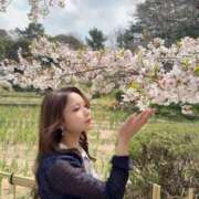 ヒメ日記 2026/04/14 07:03 投稿 ちひろ シャブール