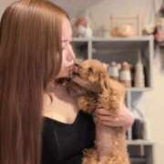 ちひろ 🕊 𝕖𝕟𝕕 𓂃 𓈒𓏸 💗 シャブール