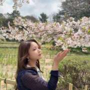 ヒメ日記 2026/04/17 19:30 投稿 ちひろ シャブール