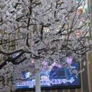 ヒメ日記 2026/04/30 06:33 投稿 つきな デザインプリズム新宿