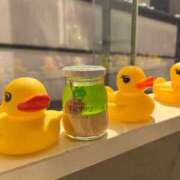 ヒメ日記 2026/04/01 14:50 投稿 ゆきみ ドンファン