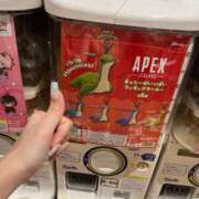 ヒメ日記 2026/08/21 18:31 投稿 ゆきみ ドンファン
