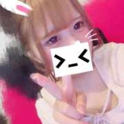 ヒメ日記 2026/09/12 10:04 投稿 りる フィエスタ