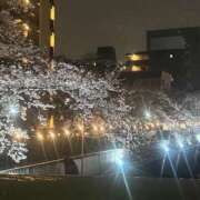 ヒメ日記 2026/04/13 00:09 投稿 あさひ ぽっちゃりデリヘル倶楽部