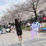ヒメ日記 2026/04/05 13:50 投稿 ゆりな Beppin house