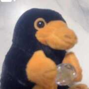 ヒメ日記 2026/04/10 15:04 投稿 リズ MEGA PALACE(メガパレス）