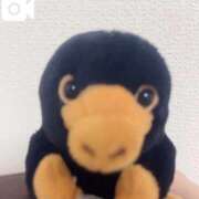 ヒメ日記 2026/04/11 07:35 投稿 リズ MEGA PALACE(メガパレス）