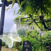 ヒメ日記 2026/06/05 08:53 投稿 リズ MEGA PALACE(メガパレス）