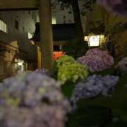 ヒメ日記 2026/06/14 10:03 投稿 リズ MEGA PALACE(メガパレス）
