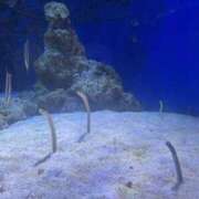 ヒメ日記 2026/03/25 23:22 投稿 すずね クンニ専門店 おクンニ学園 池袋校