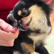 ヒメ日記 2026/04/10 21:02 投稿 あすか 湯房 湯島御殿