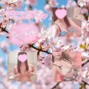 ヒメ日記 2026/04/14 10:01 投稿 あすか 湯房 湯島御殿