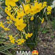 ヒメ日記 2026/03/31 20:20 投稿 坂口まみ 五十路マダム 岐阜店