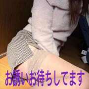 ヒメ日記 2026/04/01 06:20 投稿 坂口まみ 五十路マダム 岐阜店