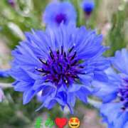 ヒメ日記 2026/04/24 07:26 投稿 坂口まみ 五十路マダム 岐阜店