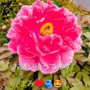 ヒメ日記 2026/04/24 09:50 投稿 坂口まみ 五十路マダム 岐阜店