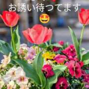 ヒメ日記 2026/04/27 17:20 投稿 坂口まみ 五十路マダム 岐阜店