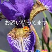 ヒメ日記 2026/05/28 10:54 投稿 坂口まみ 五十路マダム 岐阜店