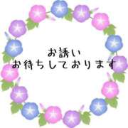 ヒメ日記 2026/09/17 07:00 投稿 坂口まみ 五十路マダム 岐阜店