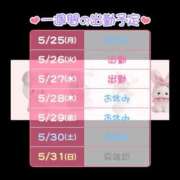 ヒメ日記 2026/05/25 01:07 投稿 せりか 土浦ハッピーマットパラダイス