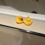 ヒメ日記 2026/03/25 20:28 投稿 たえこ 丸妻 横浜本店