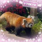 ヒメ日記 2026/04/20 14:59 投稿 こはる 池袋あられ