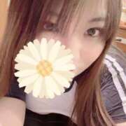 ヒメ日記 2026/05/13 16:04 投稿 みこと ふわふわコレクション