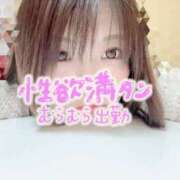 ヒメ日記 2026/06/03 12:14 投稿 みこと ふわふわコレクション